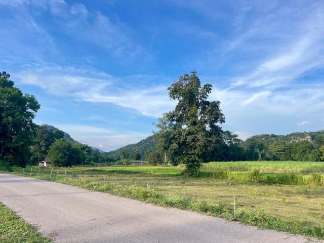 ที่ดิน เขาชะงุ้ม โพธาราม ราชบุรี