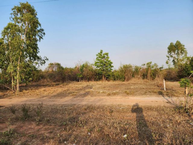 L853 ที่ดินแบ่งขาย สด/ผ่อน มีให้เลือก 6 ล็อก สีคิ้ว นครราชสีมา