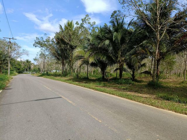 ขายที่ดิน ในเขตเทศบาลอำเภอ ท้ายเหมือง  พังงา เจ้าของขายเอง