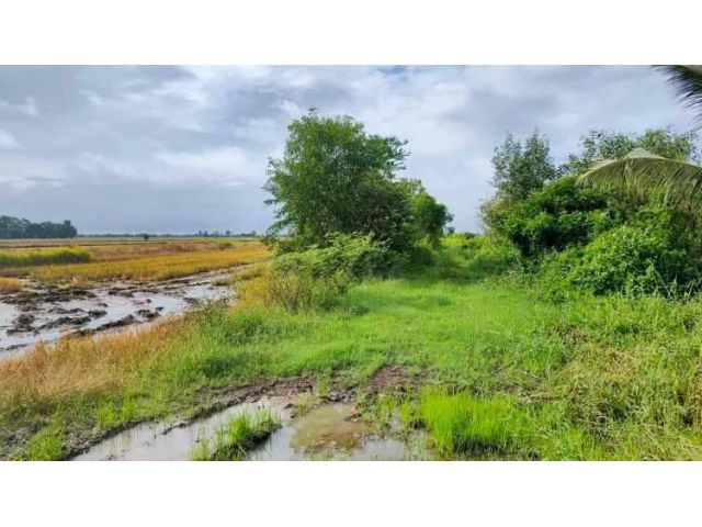 L854 ขายที่ดินใกล้ตลาดสดคลอง16  100 ตรว บางน้ำเปรี้ยว ฉะเชิงเทรา