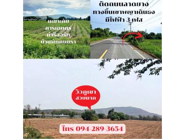 ขายถูก!ที่ดินเปล่ายกแปลงสวยติดถนนลาดยาง ตรงข้ามไร่แสนไกล ทางขึ้นจุดชมวิวเขาพระยาเดินธง 24 ไร่เศษ ต.พัฒนานิคม อ.พัฒนานิคม จ.ลพบุรี เจ้าของขายเอง