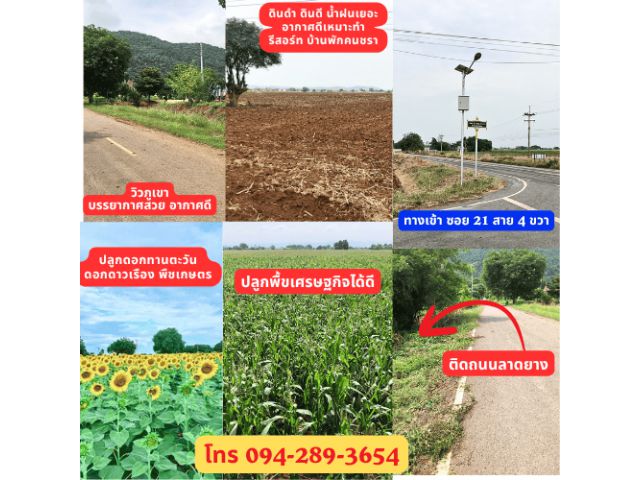 ขายที่ดินเปล่ายกแปลงสวยติดถนนลาดยาง ซ.21 วิวภูเขาพร้อมบ้าน น้ำไม่ท่วม ทางขึ้นสำนักสงฆ์ถ้ำเขาเขียว ต.หินซ้อน อ.แก่งคอย จ.สระบุรี 24 ไร่เศษเจ้าของขายเอง