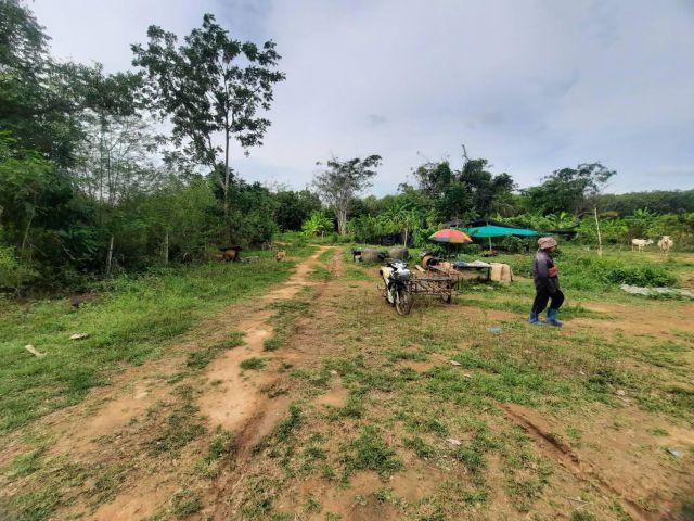 ขายที่ดิน 10 ไร่ นิคม กม.5 ต.อ่าวน้อย ประจวบคีรีขันธ์