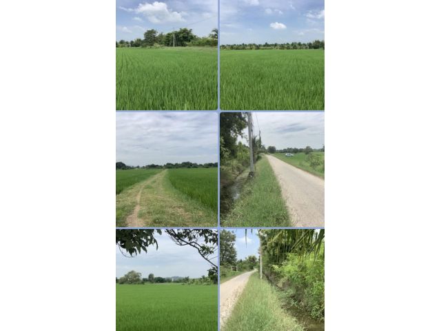 ที่นาติดถนนน้ำไฟพร้อม