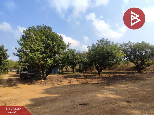 ขายที่ดินพร้อมสวนผสม เนื้อที่ 29 ไร่ 3 งาน 79 ตารางวา ขลุง จันทบุรี