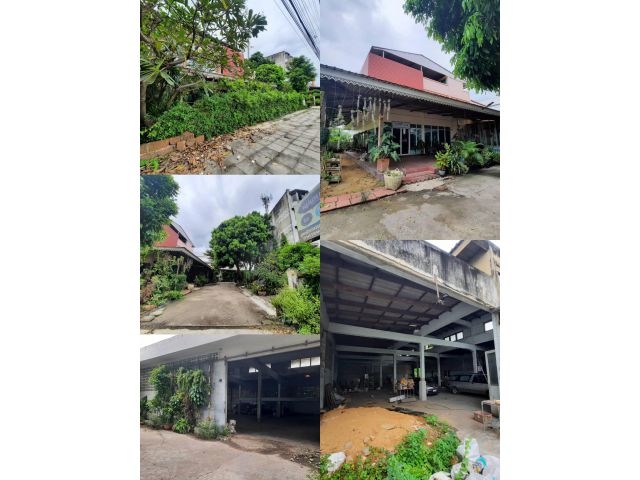 บ้านเดี่ยวพร้อมโกดัง 310 ตรว. นครชัยศรี ศรีษะทอง ตรงข้ามปั้ม ปตท.ใหม่ ปากทางเข้าวัดบ่อตะกั่ว ติดริมถ.เพชรเกษม