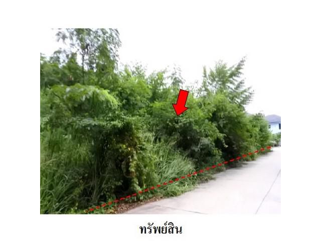 ขายที่ดินว่างเปล่าโครงการ สวนวลีแลนด์ 4  ทับมา ระยอง