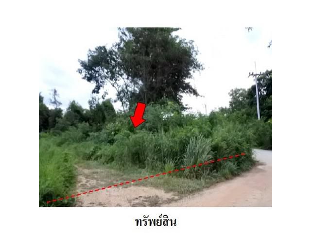 ขายที่ดินว่างเปล่าโครงการ สวนวลีแลนด์ 4  ทับมา  ระยอง