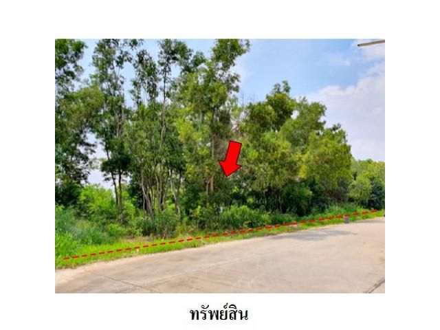 ขายที่ดินว่างเปล่าโครงการ สวนวลีแลนด์ 4  ทับมา ระยอง