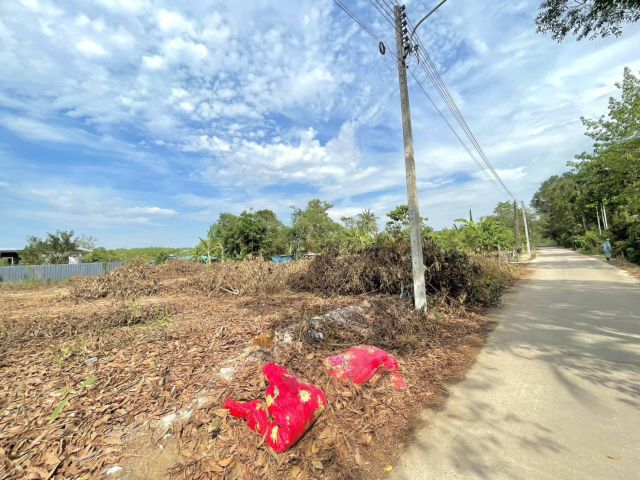ขายที่ดินติดถนนเส้นในคลองขุดหนองตะพานบ้านค่ายจ.ระยองเนื้อที่373ตรว.