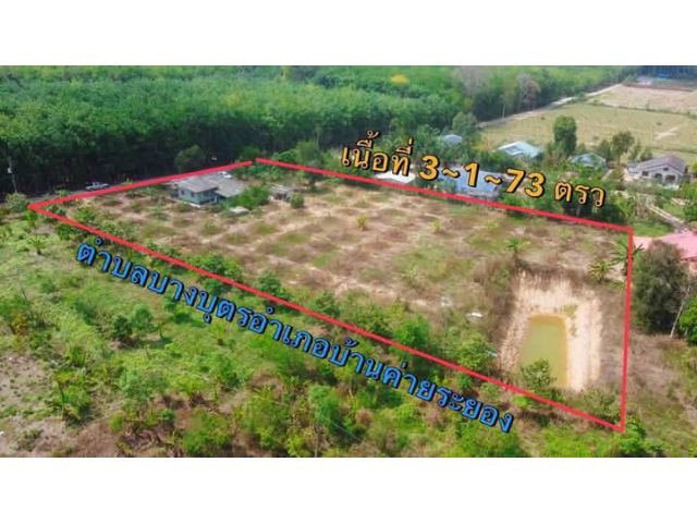 ขายยกแปลงบ้านพร้อมที่ดินสวนทุเรียนมีบ่อน้ำในสวนเขาหวายบางบุตรจ.ระยองเนื้อที่3ไร่1งาน