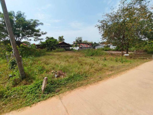 ขายที่ดินไกล้ทะเลหาดแม่รำพึงจ.ระยองเนื้อที่100ตรว.