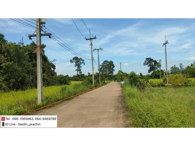 ขายที่เขตนิคม ติดถนนคอนกรีต ราคาเพียงไร่ละ 350,000 บาทเท่านั้น