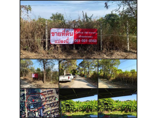 ขายที่ดิน ถมแล้ว แปลงสวย บางใหญ่ นนทบุรี