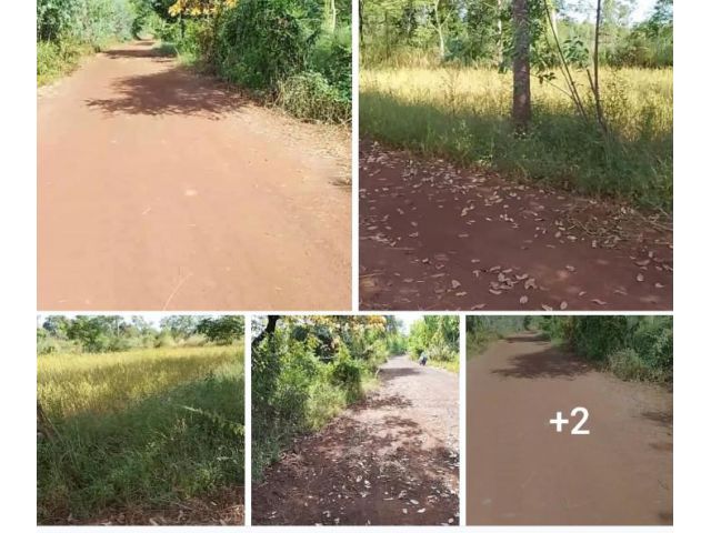 ลดๆที่ 3 ไร่โฉนด ยกเพียง  330,000 บ. บ.หนองหอย ต.เชียงเครือ อ.เมืองสกลนคร ห่าง ม.เกษตร ประมาณ 5กม. เหมาะทำนาทำสวน