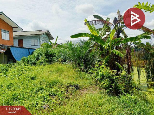 ขายที่ดิน เนื้อที่ 8 ไร่ 1 งาน 76.1 ตารางวา  ต.บ้านใหม่ อ.ปากเกร็ด นนท์