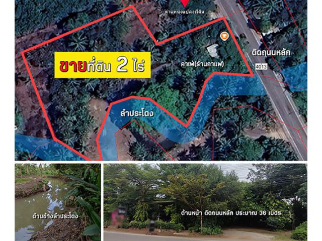 ขายที่ดินสวยๆติดถนนหลัก 2 ไร่ (มีคาเฟ่ให้ด้วย)