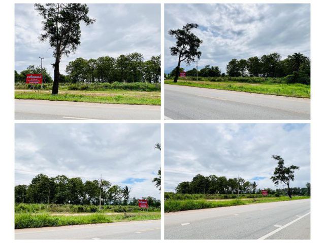 ขายที่ดิน อำเภอภูเรือ จังหวัดเลย 21 ไร่ 3 งาน 15 ตร.ว. ติดถนนทางหลวงหมายเลข 21 โทร 094-9154199