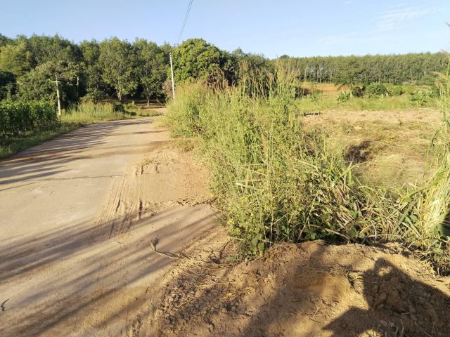 ที่ดิน 11 ไร่ภูเรือ สปก ไร่ละ 230000 เขตเทศบาล มีเพื่อนบ่้านชุมชนน่าอยู่