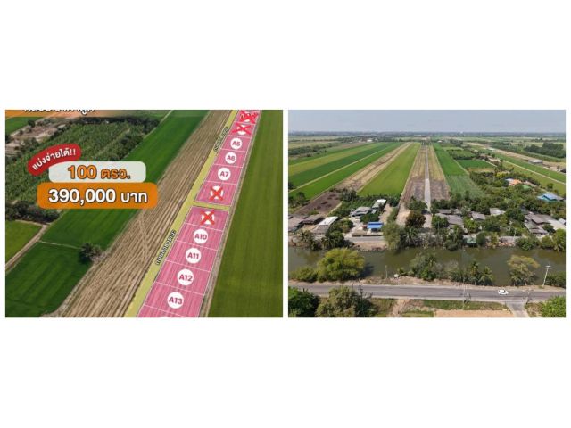 แบ่งปันที่ดิน ทำเลโคตรคูล ถูก ดี พัฒนาพร้อม ฟรีค่าโอน