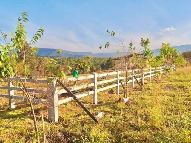 ที่สวยบรรยากาศดีใกล้เขาภูเรือ ไม่ไกลทางหลวง แบ่งขาย2-6 ไร่ๆละ450,000