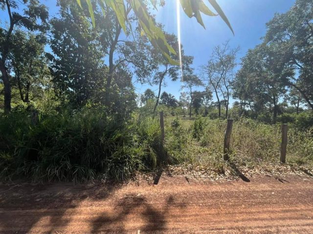 L862 ขายที่ดิน 8 ไร่ เมืองอำนาจเจริญ