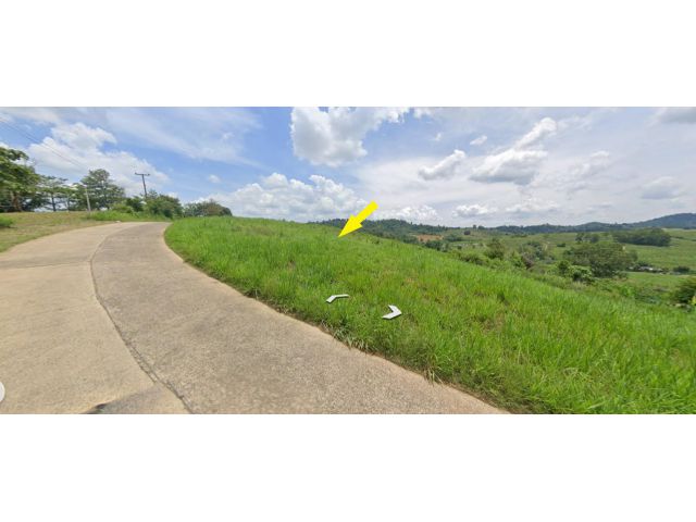 ขายที่ดินตำบลวังน้ำเขียว อำเภอวังน้ำเขียว นครราชสีมา 18 ไร่ ที่ดินอยู่บ้านคลองทราย