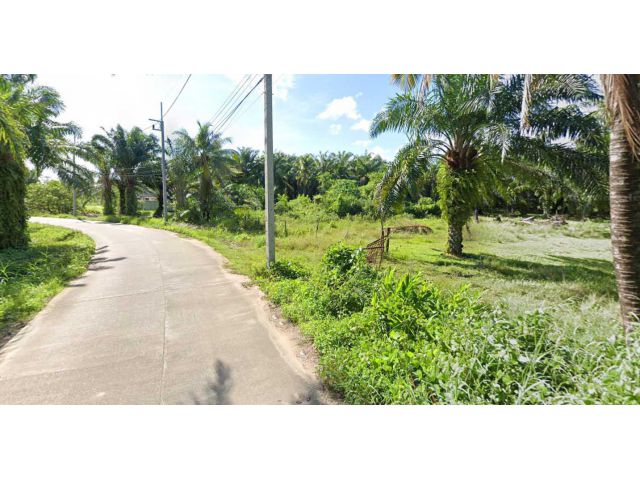 ขายที่ดิน 25 ไร่ ติดชายทะเล ต.ตลิ่งชัน อ.เหนือคลอง จ.กระบี่