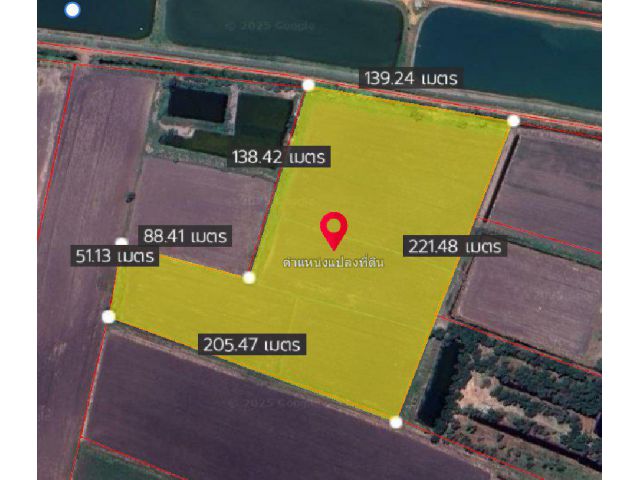 ขายที่ดินหนองยาว 19 ไร่ ใกล้ถนนเส้น3002-6.2กม. อ.พนมสารคาม ฉะเชิงเทรา