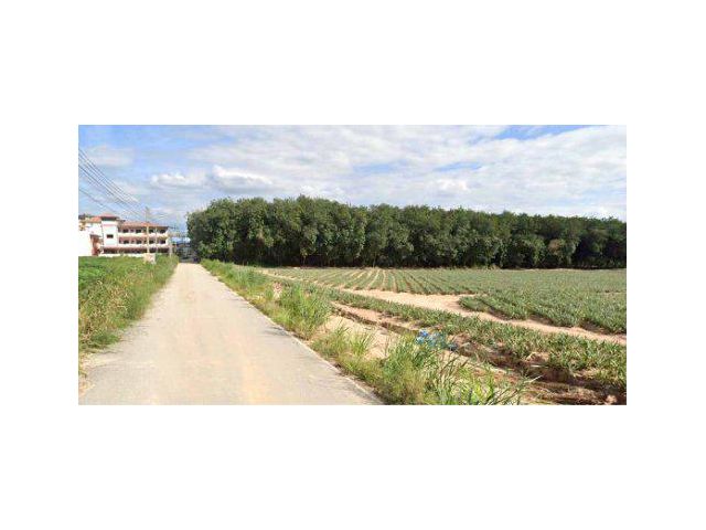 ขายที่ดิน 29 ไร่ ผังสีม่วงเข้ม ใกล้นิคมอุตสาหกรรมอมตะซิตี้ ต.มาบยางพร อ.ปลวกแดง จ.ระยอง