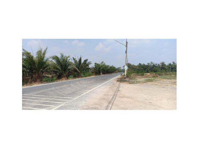 ขายที่ดิน 123 ไร่ พร้อมบ่อน้ำและสิ่งปลูกสร้าง คลองเจ็ด ติดถนนเลียบคลองเจ็ด ต.บึงชำอ้อ อ.หนองเสือ จ.ปทุมธานี