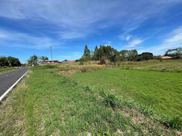 L873 ขายที่ดินสวยทำเลดี 4 ไร่ เมืองอำนาจเจริญ