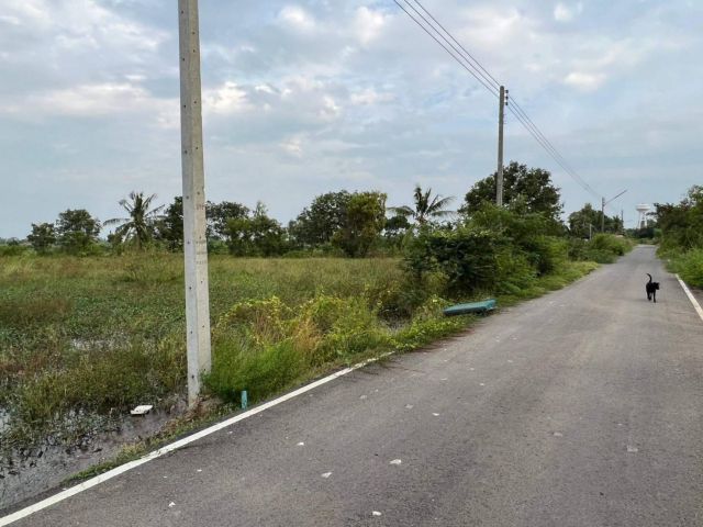 L875 ขายที่ดินสวย 10 ไร่ บางเลน นครปฐม