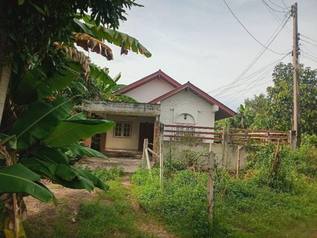 ขายบ้านเดี่ยวชั้นเดียวทำเลใกล้เมืองเนื้อที่กว้าง