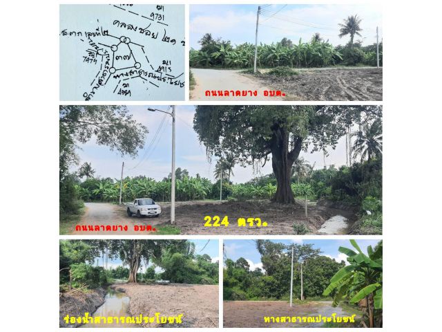 (โฉนด) ที่ดิน 224 ตรว. (พร้อมถม) เหมาะที่อยู่อาศัย หน้าติดถนนลาดยาง คลองน้ำ ไฟฟ้า น้ำประปา (พร้อมใช้) ม.10 ต.ดอนคา อ.อู่ทอง จ.สุพรรณบุรี