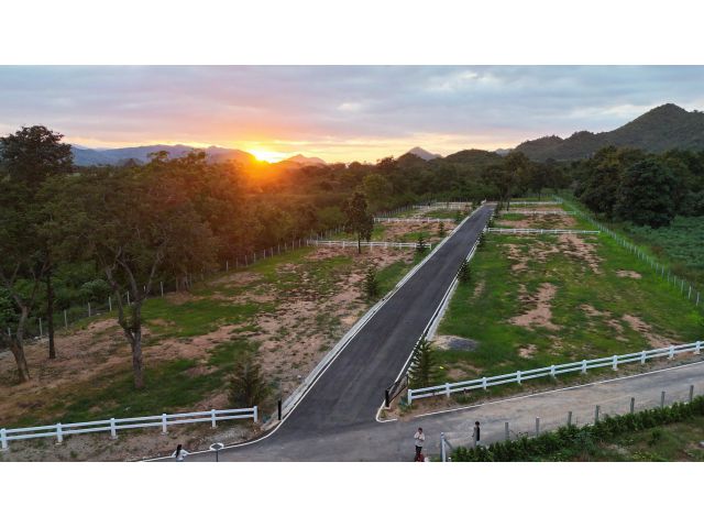 ขายที่ดินวิวเขาผ่อนได้ #หมูสี สุดคุ้ม สำหรับที่ดินทำเลนี้ พรีเมี่ยมที่สุด ตำบลหมูสี วิวเขาใหญ่  สด 9,900/ ตรว