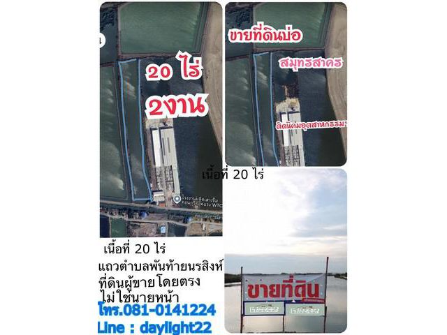ขายที่ดินบ่อ แถวเทศบาลเมืองพันท้ายนรสิงห์ จ.สมุทรสาคร