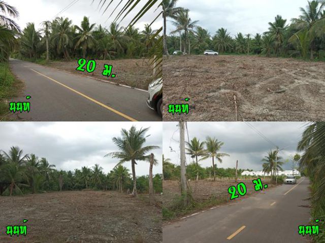 330 ตรว. ลาดใหญ่ ถมแล้ว ติดลาดยาง 20 ม.