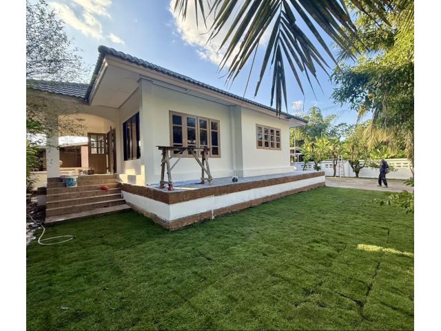 ขายบ้านชั้นเดียวหนองจ๊อมใกล้เมืองสวยและถูกมาก พท.96 ตรว.เฉพาะที่ดินก็คุ้มแล้ว สะดวกทุกอย่าง น้ำไม่ท่วม