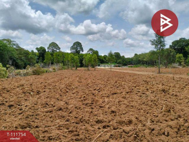 ที่ดินเนื้อที่ 10 ไร่ 96.0 ตารางวา อำเภอเขาสมิง ตราด