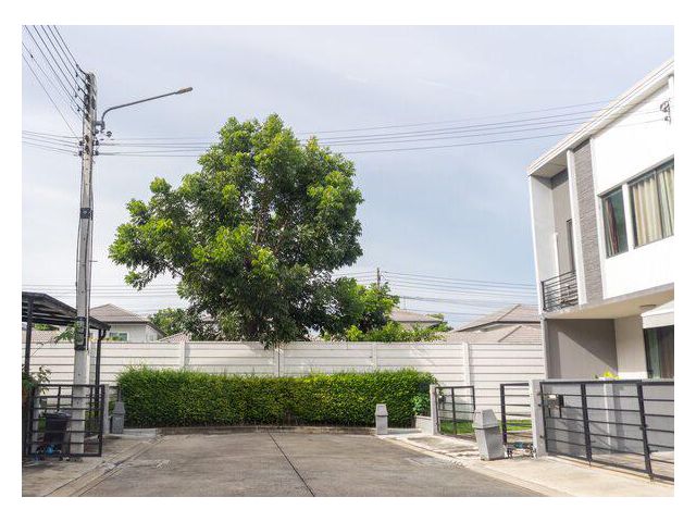 ขายด่วน!! ทาวน์โฮมหลังมุม โครงการพลีโน่ รังสิต คลองสี่-วงแหวน 25.