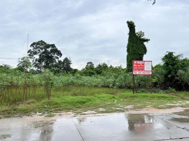 ขายถูก! ที่ดินเปล่า 300ตรว อ่างเก็บน้ำบางพระ - นาพร้าว ศรีราชา ใกล้ Moterway!!!