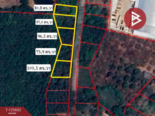ขายที่ดิน เนื้อที่ 1 ไร่ 50.9 ตร.วา แสลง จันทบุรี