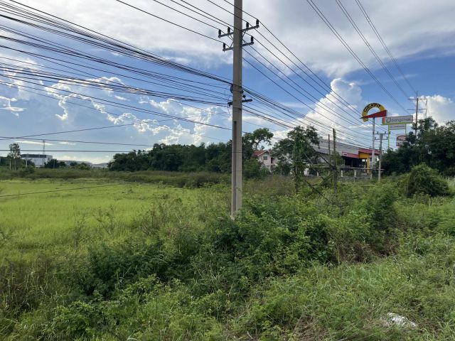 ขายที่ดิน 8 ไร่ ติดถนนสายเอเชีย หน้านิคมไฮเทค บางปะอิน