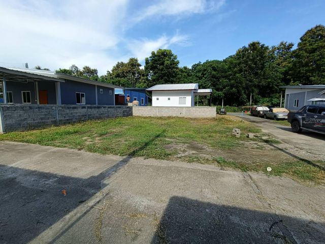 ขายที่ดินเปล่า