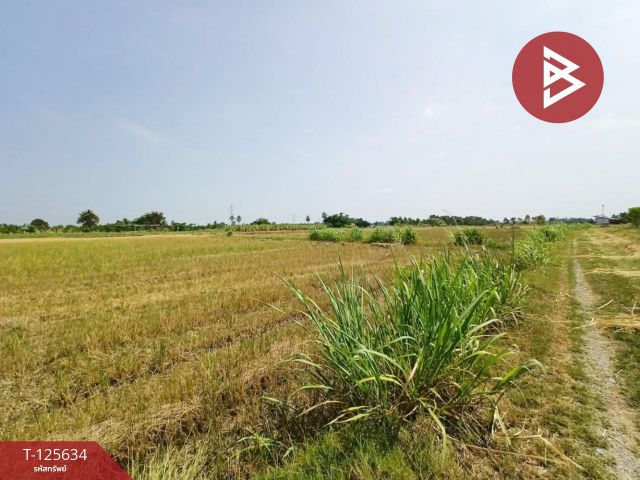 ขายที่ดิน เนื้อที่ 2 ไร่ 2 งาน 99.3 ตารางวา บ้านมะเกลือ เมืองนครสวรรค์