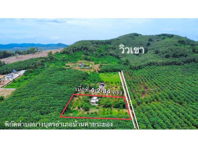 ขายบ้านพร้อมที่ดินสวนทุเรียนต.บางบุตรอ.บ้านค่ายจ.ระยองเนื้อที่4ไร่2งาน84ตรว.