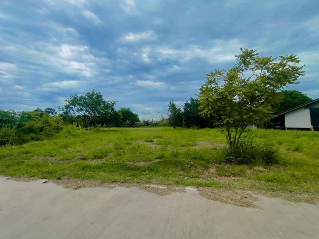 ขายที่ดินเปล่าไกล้ทะเลหาดแม่รำพึงจ.ระองเนื้อที่1ไร่2งาน74ตรว.