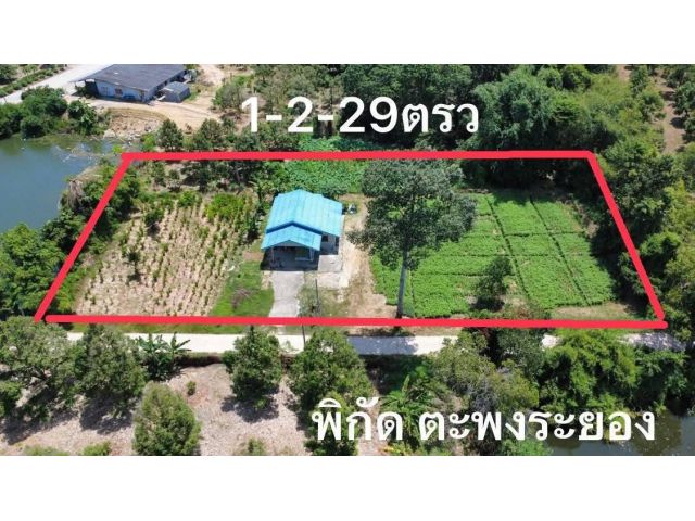 ขายบ้านเดี่ยวพร้อมที่ดินเนื้อที่1ไร่2งาน29ตรวไกล้ทะเลหาดแม่รำพึงจระยอง