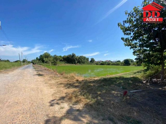 ขายที่ดินเปล่า ซอยฉลองกรุง 54 ลาดกระบัง